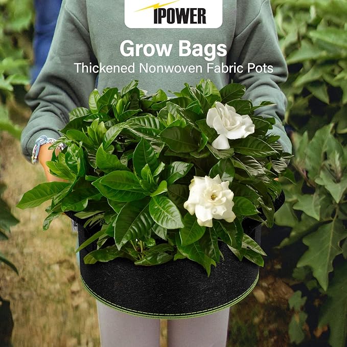 iPower 5-Gallon 10-Pack Grow Bag Thickened Nonwoven Fabric Pots Heavy Duty Aeration Container with Strap Handles for Garden and Planting Vegetable Flowers, Black with Green Stitch Sewing