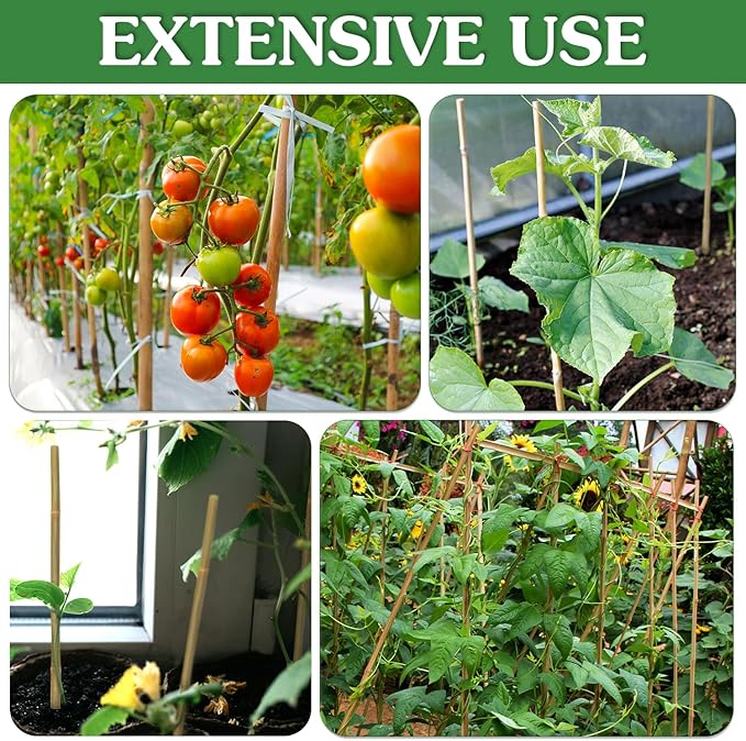 Plant Stakes,25Pcs Bamboo Stakes,4 FT Natural Bamboo Plant Support Stakes,Bamboo Stakes for Indoor and Outdoor Plants Tomatoes Beans Flowers Potted Plants Climbing Support