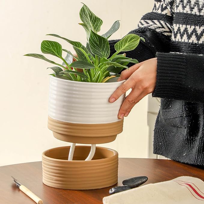 HASENSE Self Watering Plant Pot, 6 Inch Porcelain Planter with Drainage Hole and Saucers for Indoor & Outdoor Plants, Round Flower Pots for Houserwarming Gift, White
