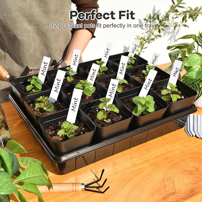 June Fox 4 Inch Nursery Pots for Plants, 5 Pcs Seed Starter Tray Kit, 60 Pcs Plastic Seedling Pots with Drain Holes, 60 Plant Labels (Black)