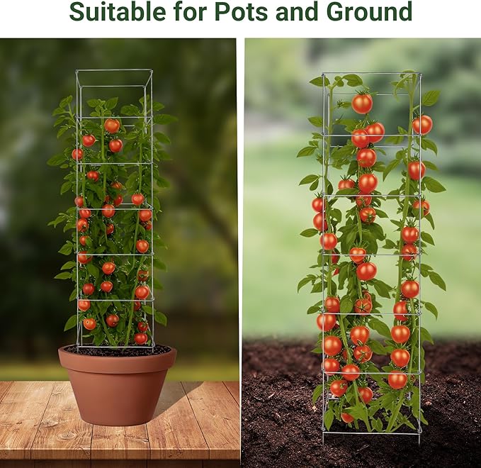 Metal Foldable Tomato Cages 13" x 56", Square Tomato Cages Plant Support for Vegetable Garden, Heavy Duty Tall Tomato Cages for Beans, Tomatos, Cucumbers - 2 Pack
