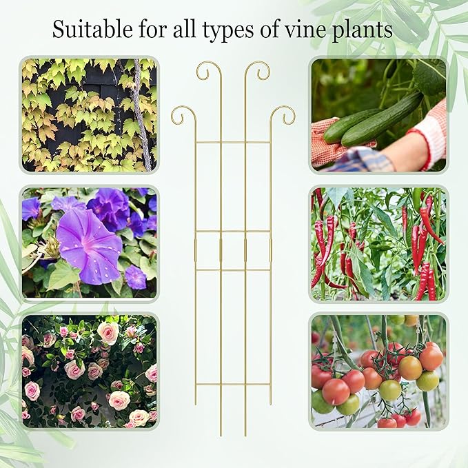 3 Set Tall Trellis for Potted Plants Indoor, 32'' Expandable Garden Metal Trellis for Climbing Plants Outdoor, Monstera Plant Support for Hoya, Vine, Ivy Pothos (Gold)