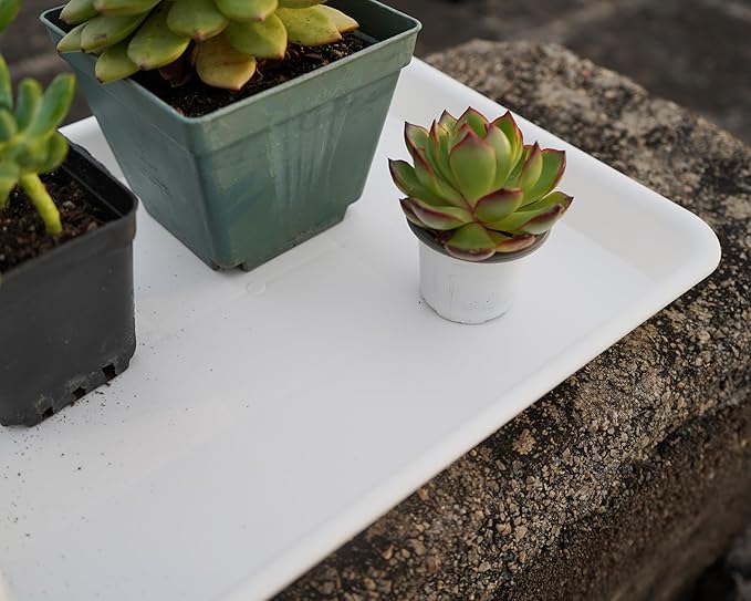 VUWEZ Plant Saucer Growing Tray, Seed Starter Tray Rectangular, Heavy Sturdy Plastic Plant Saucers Drainage Trays, Plant Drip Trays for Pots, Seed Starter Growing Pots (11 x 9 inch, 2 Pack)