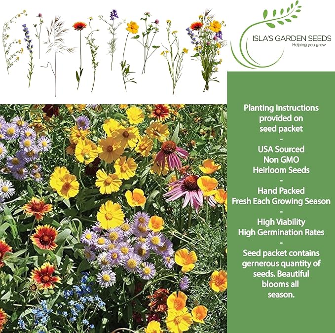 Burst of Bloom Wildflower Seed Mix – 2,500+ Non-GMO & Heirloom Seeds by Isla’s Garden Seeds, Colorful Annual & Perennial Blend, Attracts Butterflies, Bees & Hummingbirds,Perfect for Pollinator Gardens