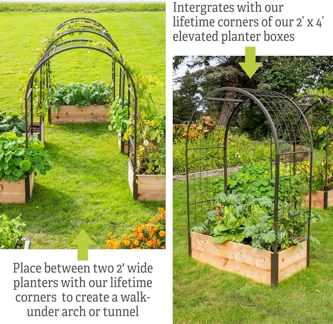 Gardener’s Supply Company Arch Trellis | Garden Arbor fits 2' x 4' Elevated Planter Boxes for Climbing Plants, Vegetables and Flowers | Decorative Outdoor Gardening Landscape