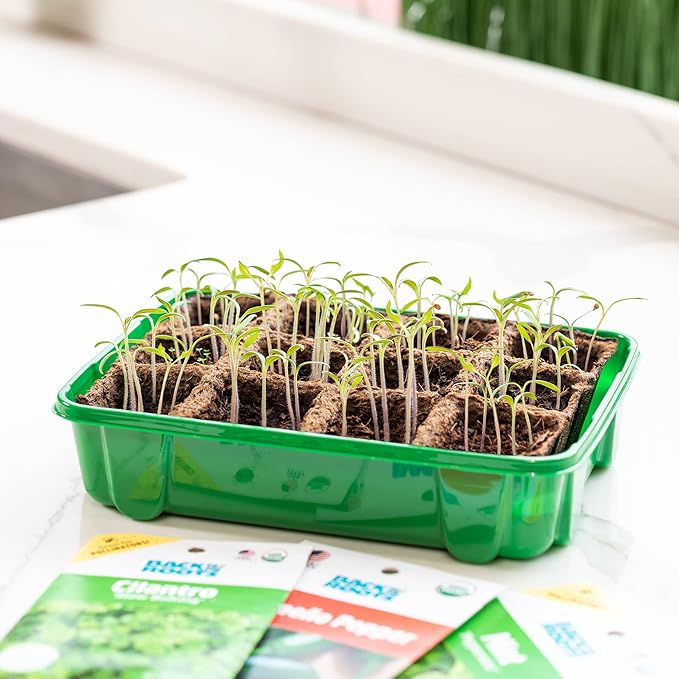 Back to The Roots 12-Cell Greenhouse Germination Kit | Seed Starting Tray with Pots & Vented Lid for Indoor Gardening
