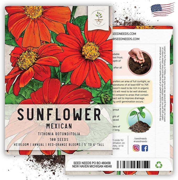 Seed Needs Mexican Sunflower Seeds for Planting Tithonia rotundifolia Flowers - Heirloom & Open Pollinated Flower Seed - Annual Wildflower to Plant a Butterfly Garden (1 Pack)