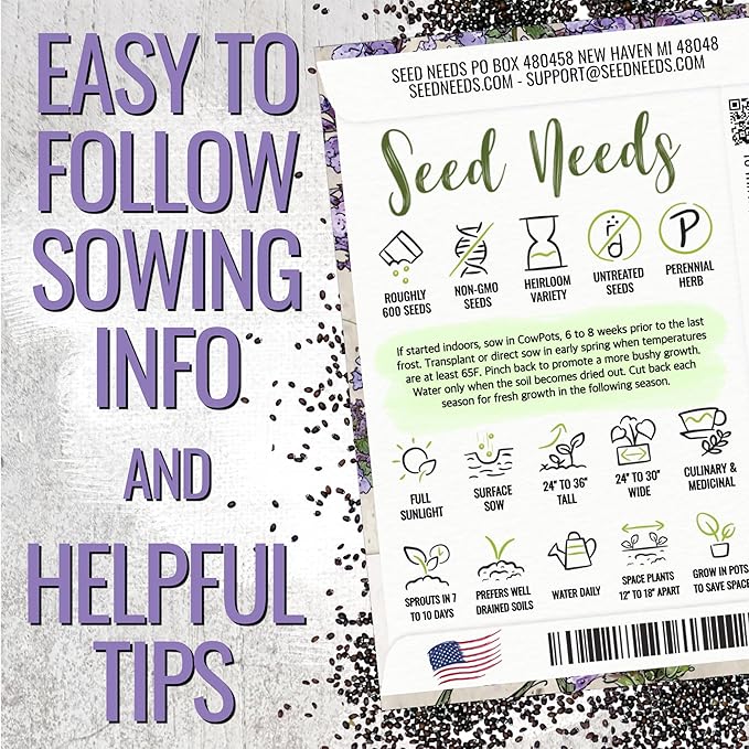 Seed Needs Catmint Seeds for Planting an Indoor/Outdoor Herb Garden - Non-GMO Heirloom & Untreated Herbal Plants - Great for Cats Nepeta mussinii (2 Packs)