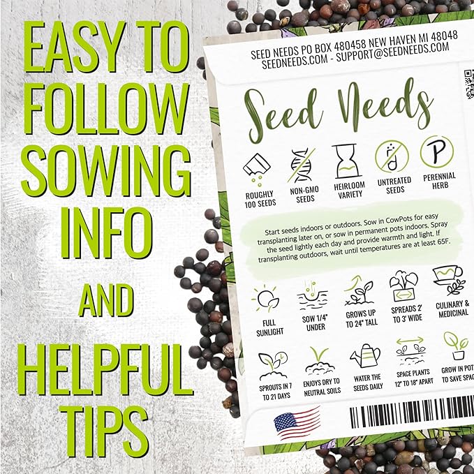 Seed Needs Sage Seeds for Planting Broad Leaved Herbs - Non-GMO Heirloom & Untreated Culinary Herb Seed to Plant a Home Grown Garden Indoors or Outdoors (2 Packs)