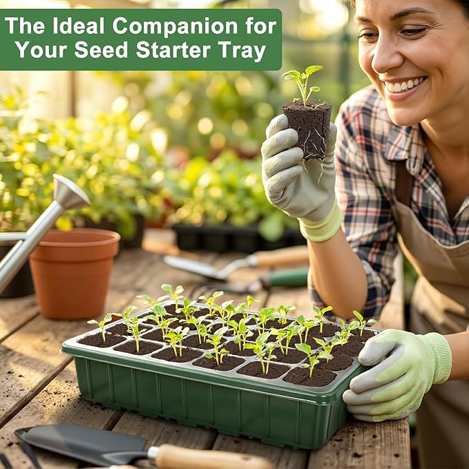 Grow Sponges with Tray, 24 Pack Seed Starter Pods & Starter Plugs for Cuttings, Hydroponic Grow Sponges for Seed Starting, Plant Plugs for Herbs Vegetables Flowers, Easy Transplant Rooter Pods