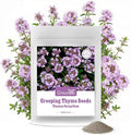 20000+ Creeping Thyme Seeds Ground Cover Plant, Perennial Thyme Flower Seeds for Planting Outdoor, Low Maintenance, Grown in The USA