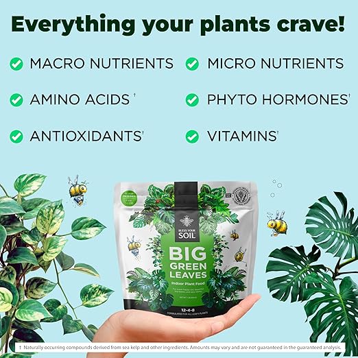 Big Green Leaves Indoor Plant Food – 4X Concentrated Houseplant Fertilizer with Sea Kelp – Makes 90 Gallons – Fast-Acting Mineral Formula, Made in USA (1 lb)