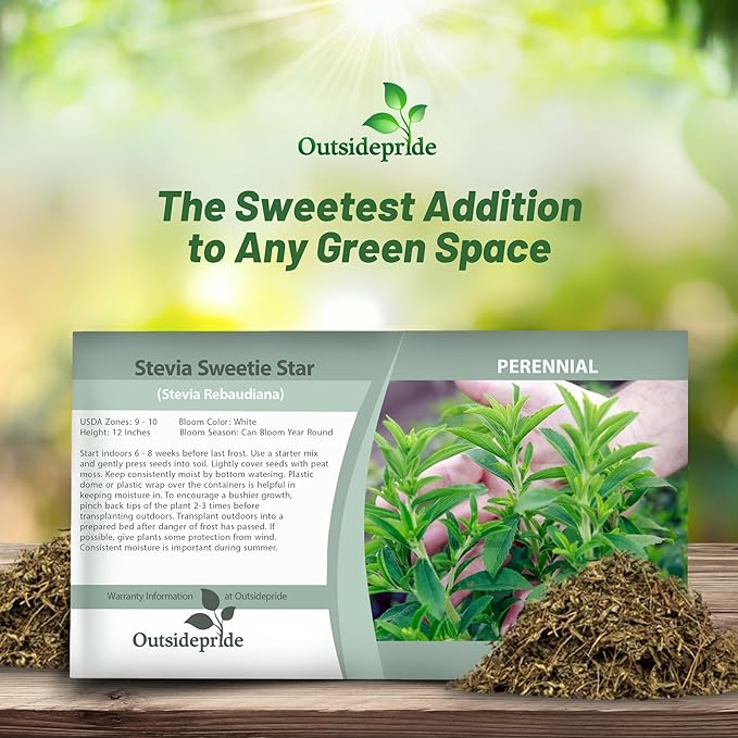Outsidepride Stevia Sweetie Star Seeds - 25 Pcs. Perennial, Versatile & Low Maintenance, Herb Seeds for Planting Tender & Sweet Leaves, Great for Culinary Creations, Tea Blends, and Homemade Recipes
