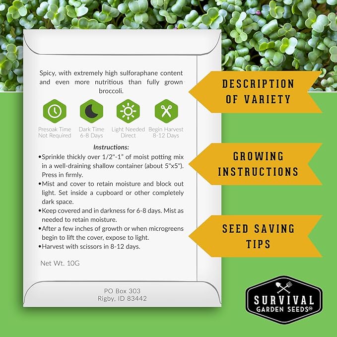 Broccoli Microgreen Seeds for Planting - Non-GMO Heirloom Broccoli Seeds to Grow Microgreens - Indoors or Hydroponic - Fast Sprouting, Nutrient Dense - Survival Garden Seeds (3 Packs)