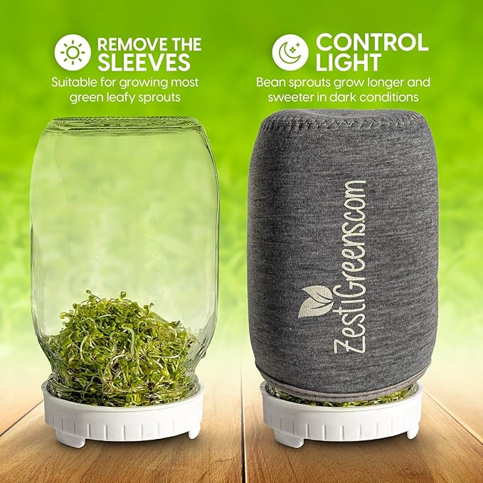 Premium Seed Sprouting Kit & Green Onion Regrower – 2 Wide-Mouth Mason Jars with Sprout Lids, Stainless Stand, Drain Tray, Blackout Sleeves & Cleaning Brush for Broccoli, Alfalfa & Mung Beans