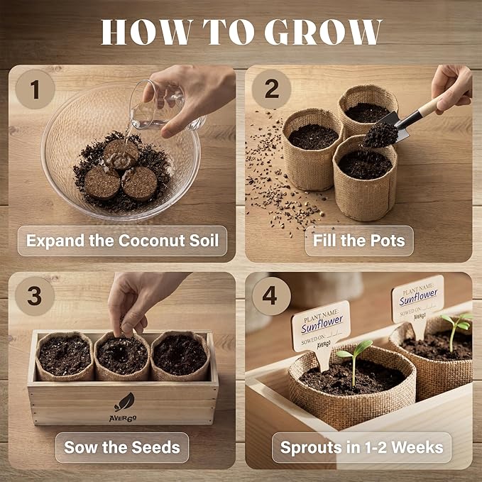AVERGO Sunflower Seeds Growing Kit – Complete Seed and Plant Indoor & Outdoor Kit with Sunflower Seeds for Planting, Planter, Soil, Tools, Instructions – Ideal for Planting Sun Flowers at Home