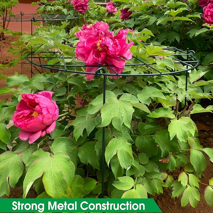 3 Pack 16 x 24 Inch Peony Support Cage Grow Through Plant Supports for Outdoor Plants Peony Ring Hoop Grow Through Grid Stakes
