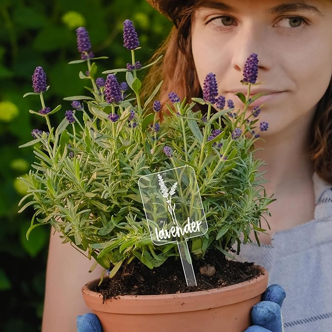 Whaline 24Pcs Acrylic Plant Label Signs 12 Styles Planted Herb Garden Markers Transparent Waterproof Plant Stake Tags with Herb Names for Nursery Indoor Outdoor Garden Decoration