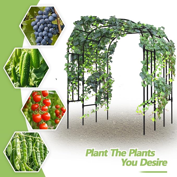 Trellis for Climbing Plants Outdoor - Size of The Grape Vine Trellis: 71 * 69 * 79 inch - Cucumber Trellis for Raised Bed, Garden Trellis for Climbing Plants, Cucumber, Vegetable, Tomato