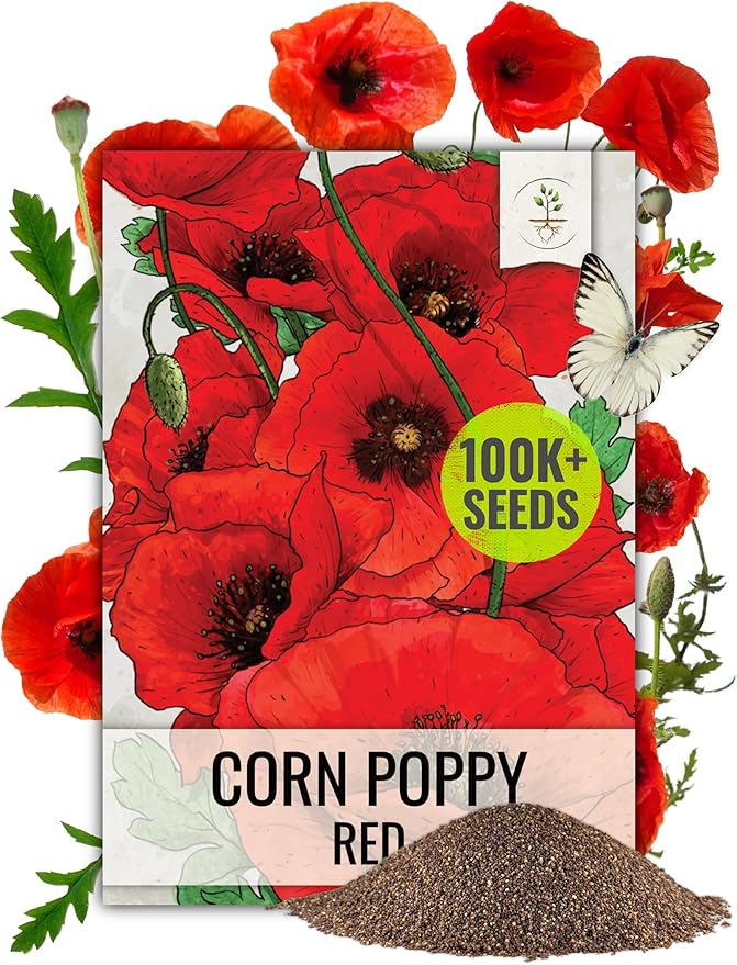Seed Needs Corn Poppy Seeds for Planting Wildflower Seeds | Papaver Rhoeas Annual Flower Seed Red Blooms | Produces Red Prolific Blooms an American Summer Favorite | Bulk
