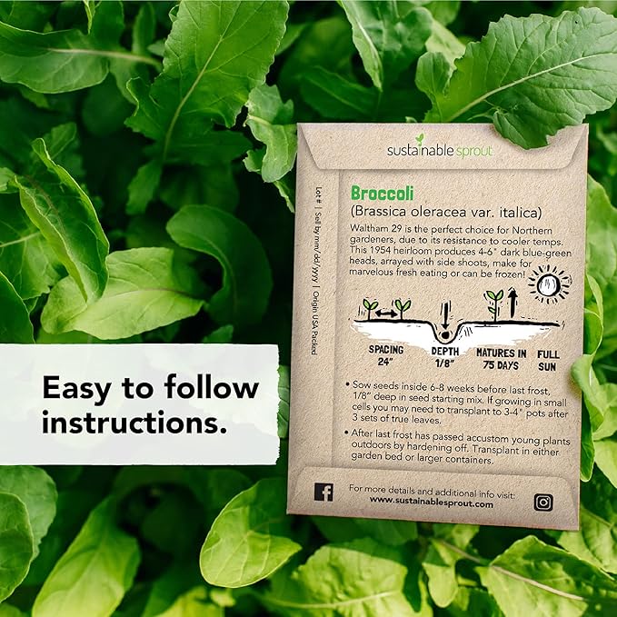 Vegetable Seeds for Planting: 13 Heirloom Veggie Seeds for Planting Home Garden: Tomatoes Lettuce Beets Bell Pepper Zucchini Broccoli Beans Cabbage Cauliflower Onion Cucumber by Sustainable Sprout