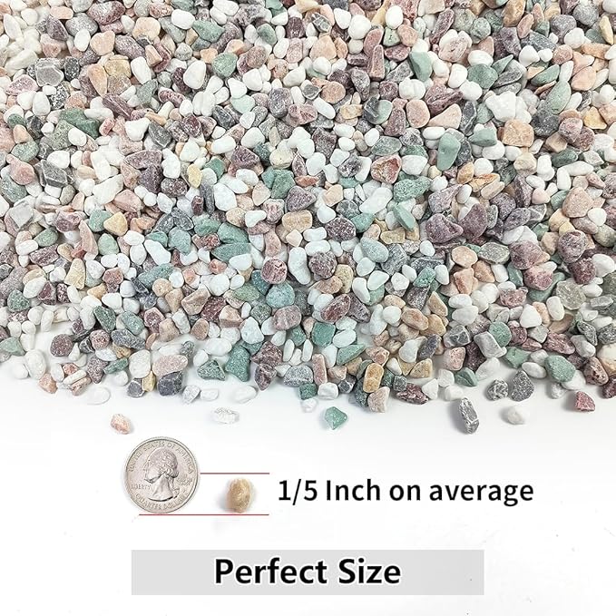 YISZM 5LB Succulent and Cactus Gravel Pebbles, 1/5 Inch Natural Decorative Polished Stones, River Rocks for Vases Gardening Indoor and Outdoor Decorative Rocks, Colorful