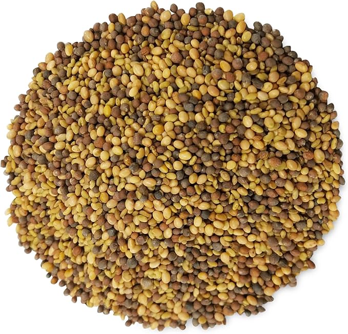 Food to Live - Antioxidant Mix of Sprouting Seeds, 10 Pounds — Broccoli, Clover, Alfalfa, Kosher, Raw, Vegan