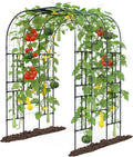 Aohanoi Garden Arch Trellis for Climbing Plants, 7.22 FT Tall Large Arbour Archway for Rose Vine Cucumber Vegetables, Wide Garden Arch for Lawn, Party, Ceremony Wedding Decoration.