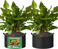 2-Pack 20 Gallon Fabric Grow Bags with Handle, Heavy Duty 300G Thickened Nonwoven with Handles and Reusable, Suitable for Garden Vegetables,Fruits and Flowers(Black)
