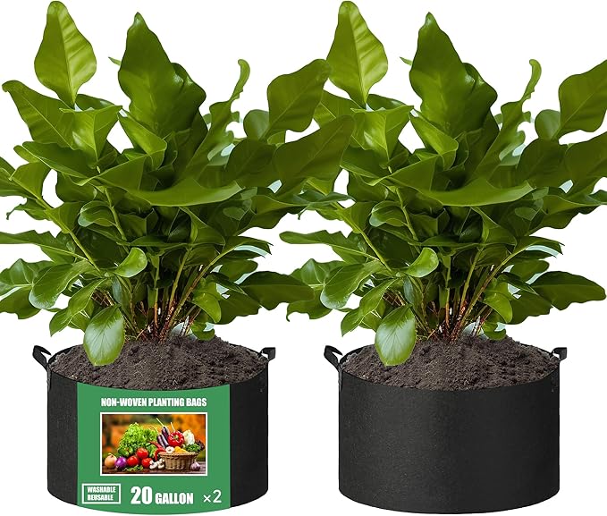 2-Pack 20 Gallon Fabric Grow Bags with Handle, Heavy Duty 300G Thickened Nonwoven with Handles and Reusable, Suitable for Garden Vegetables,Fruits and Flowers(Black)