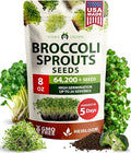 HOME GROWN Broccoli Seeds 8 oz - for Sprouting or Microgreens High Germination Sprout Seeds Nutritious Micro Greens - Broccoli Sprouts in 5 Days - Sulforaphane Rich
