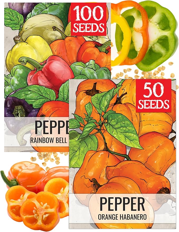 Seed Needs Vegetable Seeds for Planting Orange Habaneros & Rainbow Bell Peppers - Non-GMO Heirloom & Untreated Veggie Seed to Plant an Outdoor Vegetable Garden (2 Packs)
