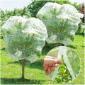 2Pcs Fruit Orchard Netting, 6.56 x 6.56 FT Plant with Zipper and Drawstring, Garden Netting to Protect Fruit from Birds, Bird Nettings for Cicadas