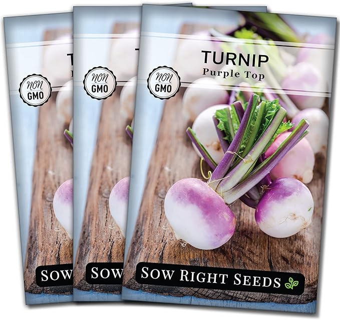Sow Right Seeds - Purple Top White Globe Turnip Seeds for Planting - Non-GMO Heirloom Packet with Instructions to Plant a Home Vegetable Garden - Early Season, Cold Hardy - Classic Variety (3)
