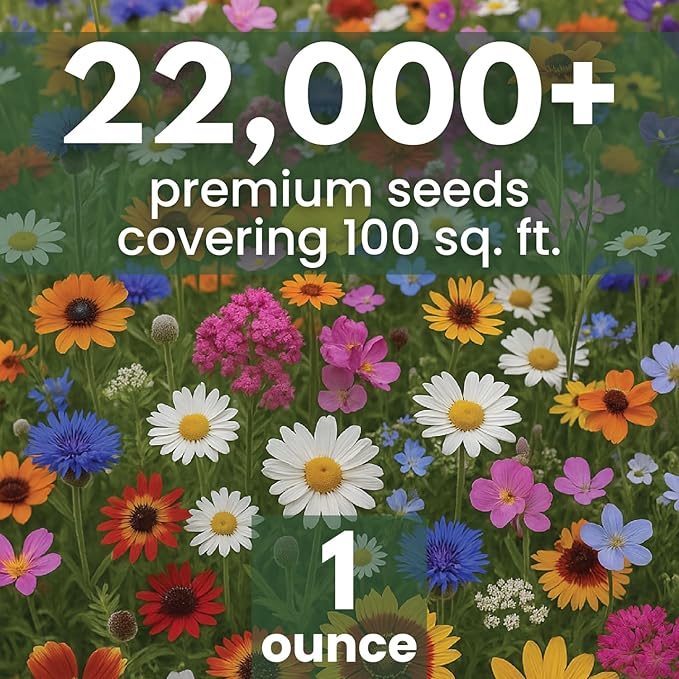 Drought Tolerant Mix – 22,000 Seeds for Planting – 2026 Season – 1 Ounce Pouch