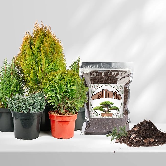 Doter Bonsai Soil Mix 4qt Ready to Use, Organic Bonsai Tree Soil Fits for Small Bonsai Pot, Suitable for Bonsai Seedling, Repotting, or Bonsai Starter Kit