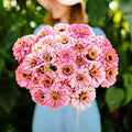 Eden Brothers Zinnia Seeds - Illumination, Non-GMO Seeds for Planting, 1/4 lb | Low-Maintenance Flower Seeds, Plant During Spring, Zones 3, 4, 5, 6, 7, 8, 9, 10