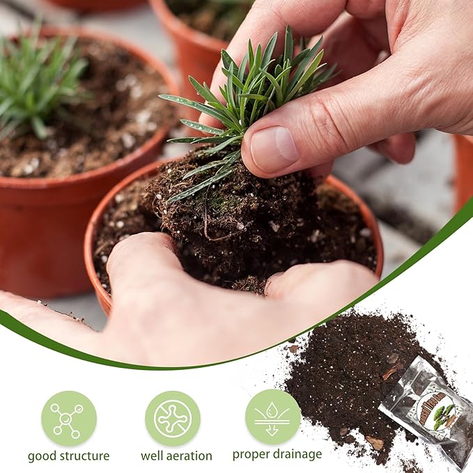 Doter Bonsai Soil Mix 2qt Ready to Use, Organic Bonsai Tree Soil Fits for Small Bonsai Pot, Suitable for Bonsai Seedling, Repotting, or Bonsai Starter Kit, black