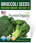Purely Organic Broccoli Seeds (Waltham 29) - Approx 750 Seeds - USDA Organic, Non-GMO, Open Pollinated, Heirloom, USA Origin