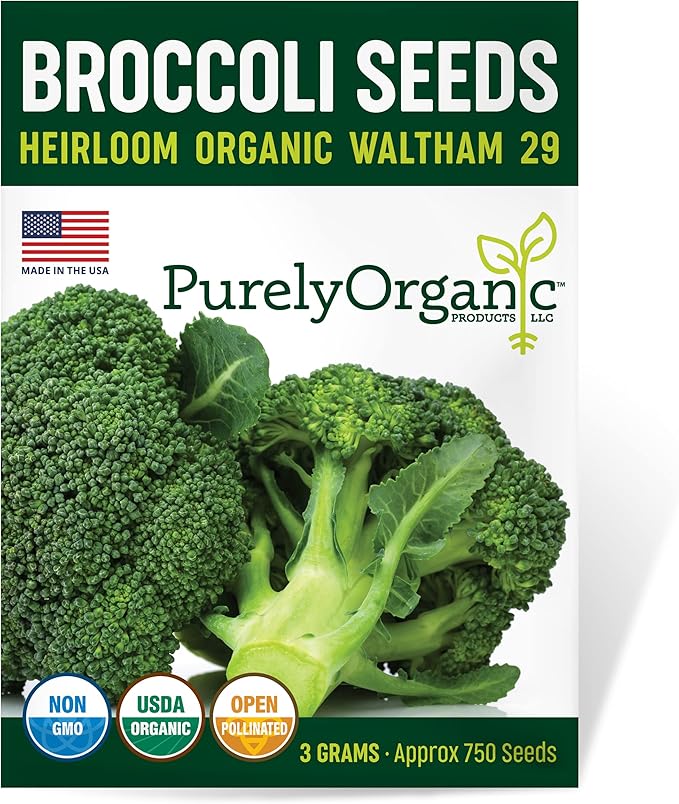 Purely Organic Broccoli Seeds (Waltham 29) - Approx 750 Seeds - USDA Organic, Non-GMO, Open Pollinated, Heirloom, USA Origin