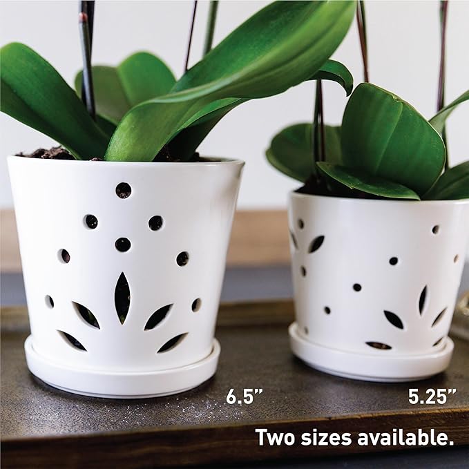 Atri Ceramic Orchid Pots with Holes–5.25in Modern Porcelain Indoor Orchid Planter–Drainage Hole–Small Orchid Pot for Repotting–White Orchid Pot with Holes