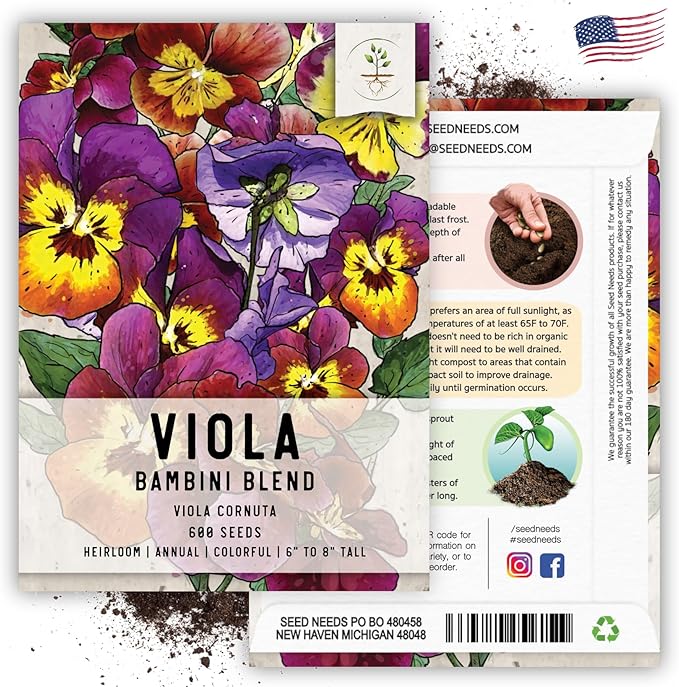 Seed Needs Viola Seeds for Planting Bambini Violas - Heirloom & Open Pollinated Annual Flowers to Plant and Grow an Outdoor Wildflower Butterfly Garden to Attract Pollinators (1 Pack)