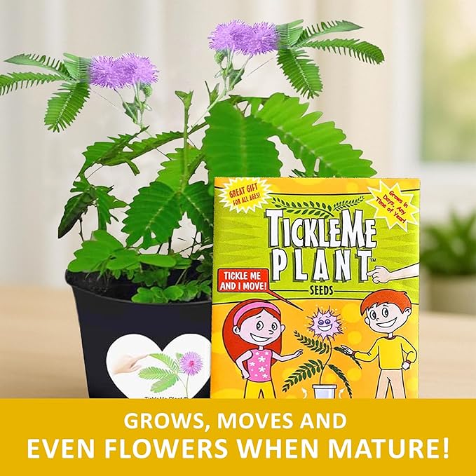 Mother’s Day Gift for Mom – TickleMe Plant – Moves When Touched – Grows Pink Flowers – “I’m Tickled You’re My Mom” – Unique Gift from Kids – Easy Indoor Kit