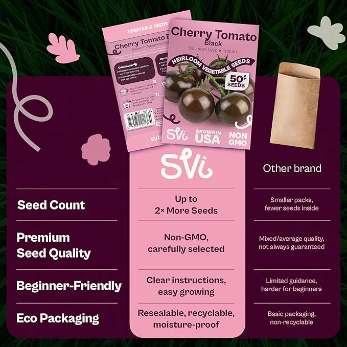 SVI 50 Black Cherry Tomato Seeds (Solanum lycoperscium) – Black Cherry Tomatoes Seed Packets, Sweet Heirloom Tomato On Vine – Non GMO Vegetable Seeds for Outdoor & Indoor Garden, Containers