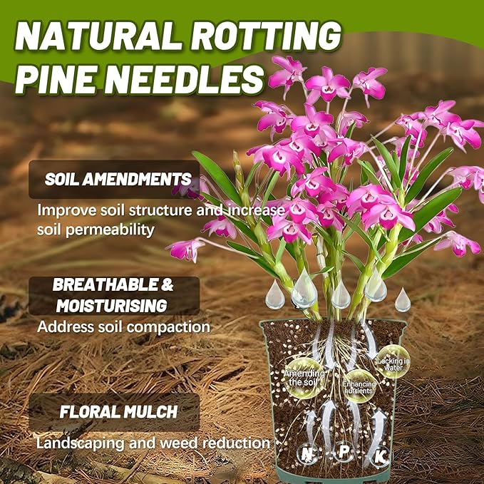 11 Oz Pine Needle Mulch for Orchid - MAQIHAN Rotting Pine Straw Mulch for Landscaping Orchid Potting Mix for Repotting Indoor Potted Plants,Gardening,Soil Moisture Retention