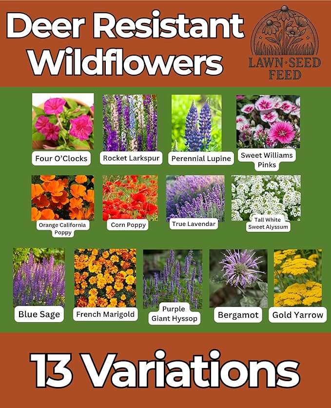 Deer Resistant Wildflower Seeds (2oz) Hardy Garden Flowers Designed to Deter Deer & Support Pollinators