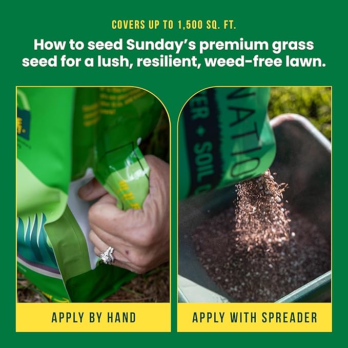 Sunday South Seed + Feed – Heat-Tolerant Grass Seed and Fertilizer for Southern Lawns - 9-0-2 NPK Mic - 10lbs