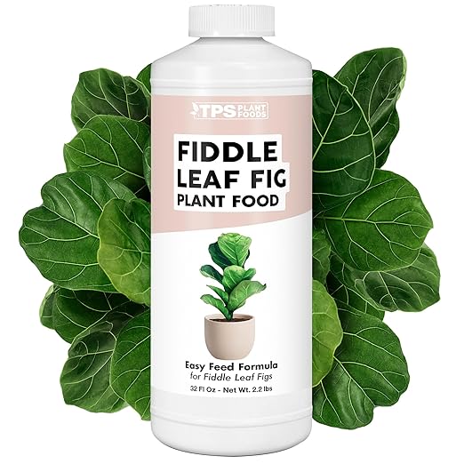 Fiddle Leaf Fig Plant Food for All Fig and Other Ficus Trees, Liquid Houseplant Fertilizer, 32 oz (1 Quart)