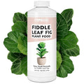 Fiddle Leaf Fig Plant Food for All Fig and Other Ficus Trees, Liquid Houseplant Fertilizer, 32 oz (1 Quart)