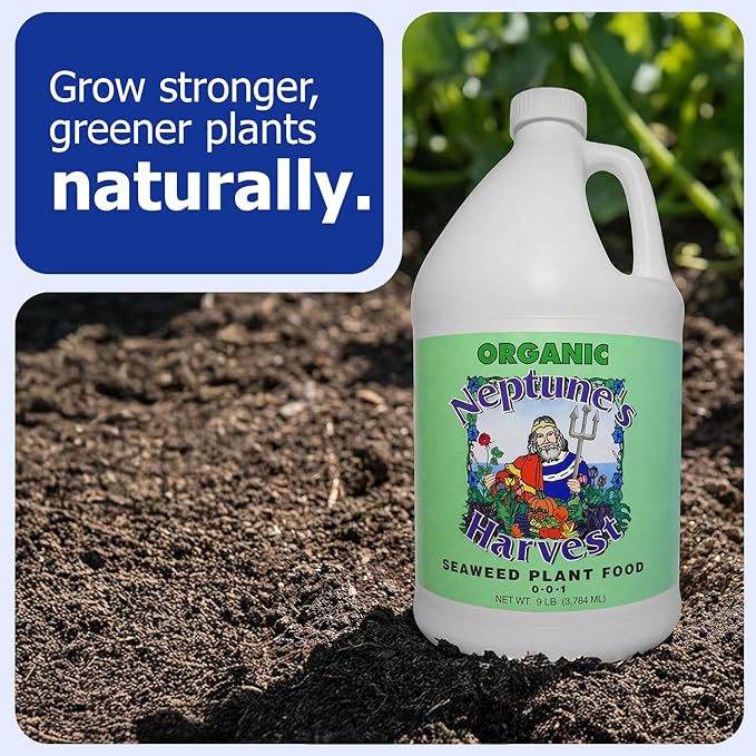 Neptune’s Harvest Seaweed Plant Food (0-0-1) - 1 Gallon Bottle - Multi-Purpose Seaweed Organic Liquid Fertilizer - Indoor & Outdoor Fertilizer for Lawns, Gardens, Vegetables, and Flowers